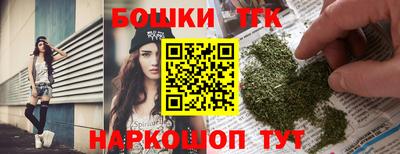 гашик Шебекино