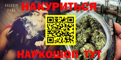 гашик Шебекино