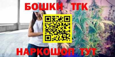 гашик Шебекино