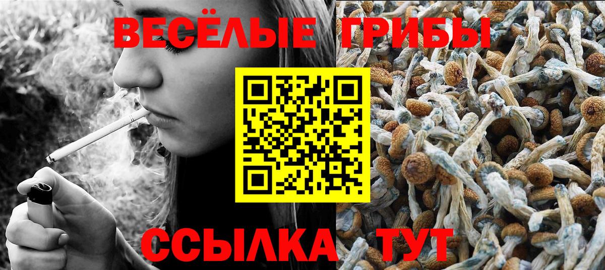 Бердск  Псилоцибиновые грибы мицелий  Вход с VPN 