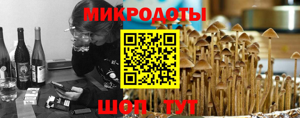 Галлюциногенные грибы мухоморы Бердск